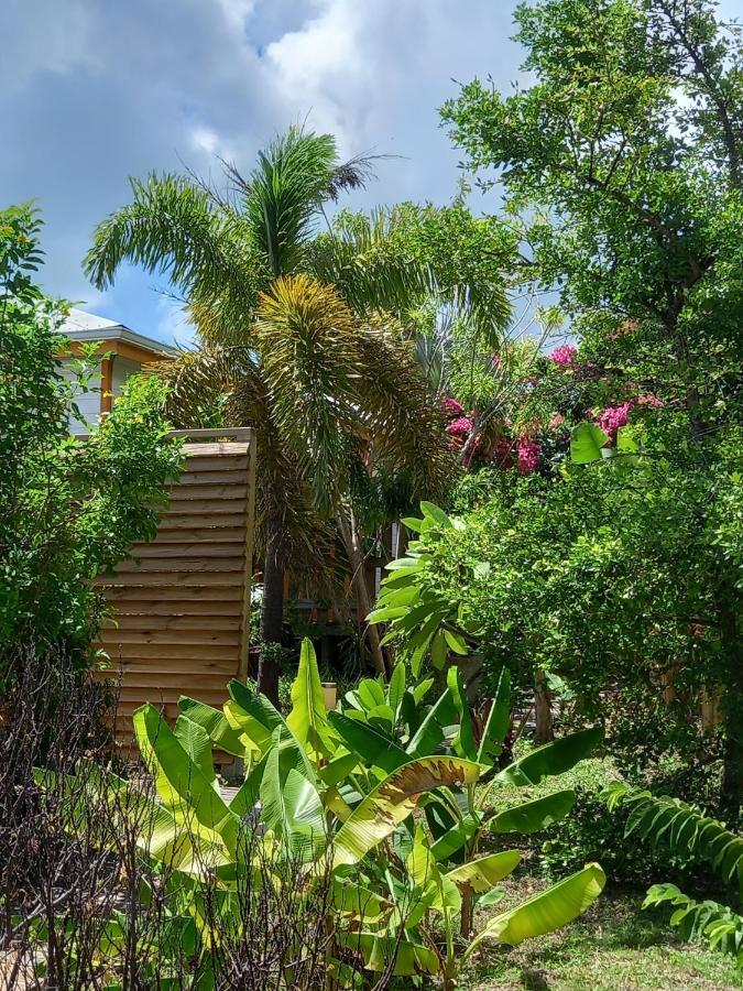 Ferienhaus Kaz Colibri *